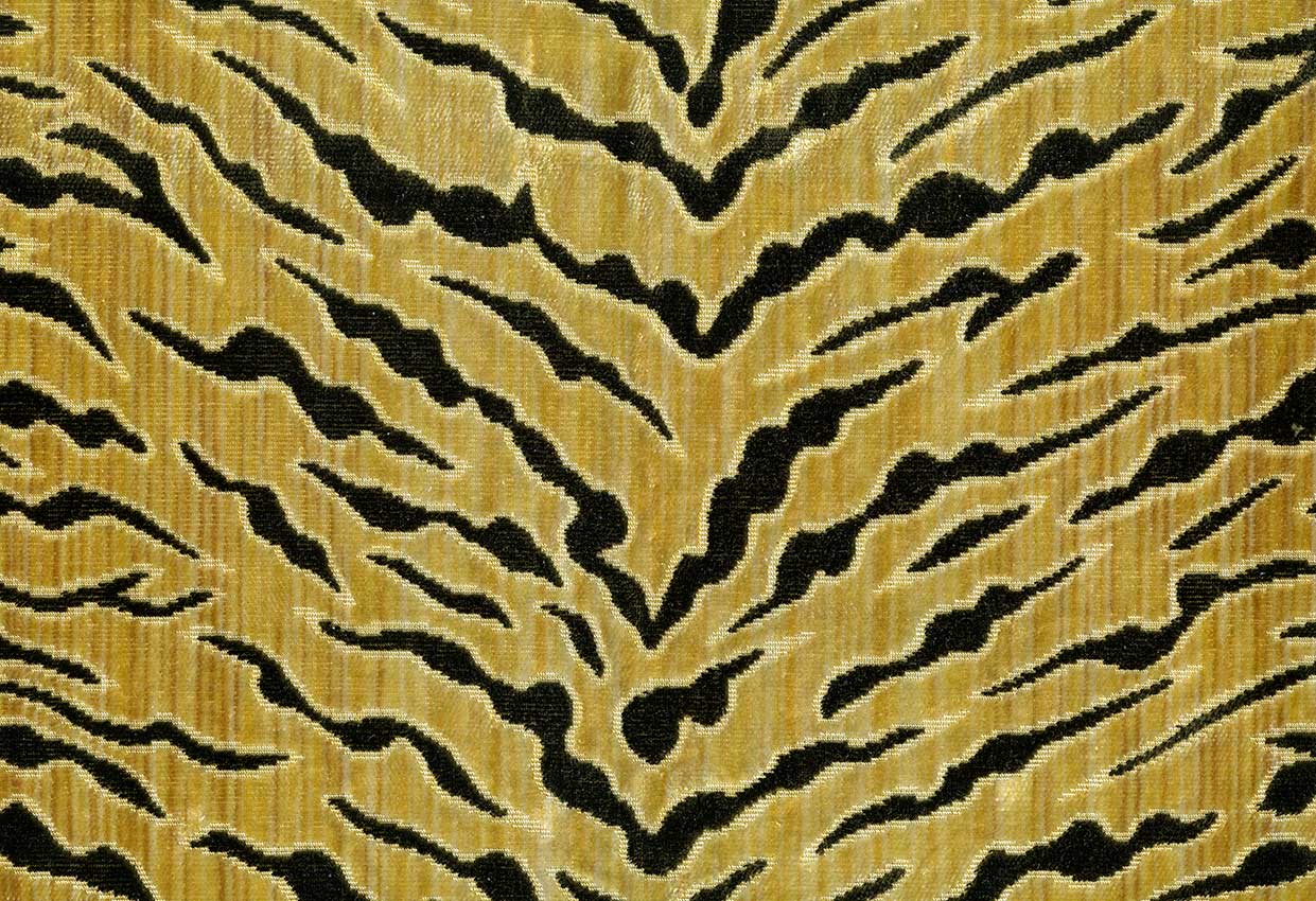 Picture of GALAPAGOS-GOLD