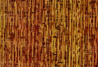 Picture of WARSAW-SPICE