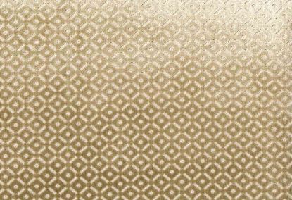 Picture of TRIANA-CHAMPAGNE