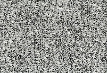 Picture of BEZNER-ZEBRA