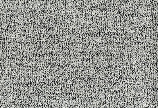 Picture of BEZNER-ZEBRA