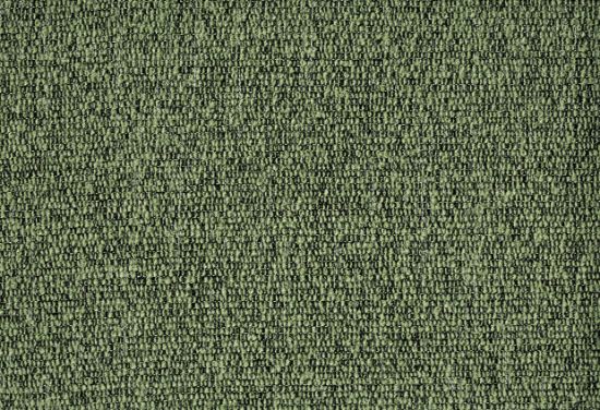 Picture of ZEBRINO-GRASS